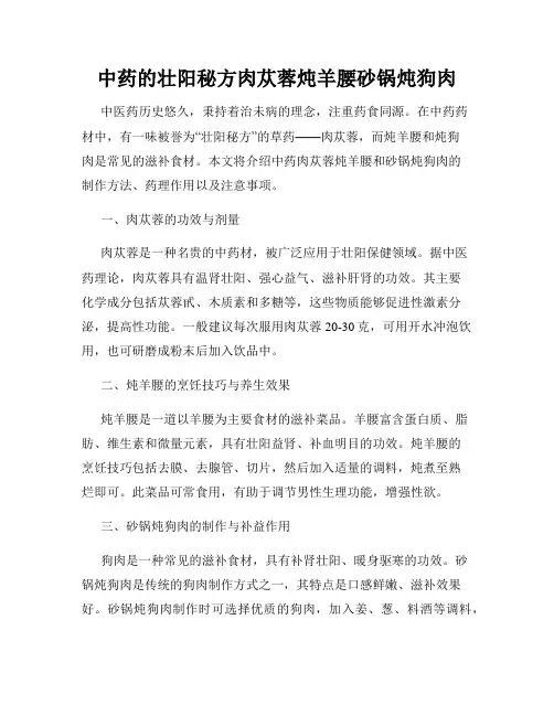 中药的壮阳秘方肉苁蓉炖羊腰砂锅炖狗肉