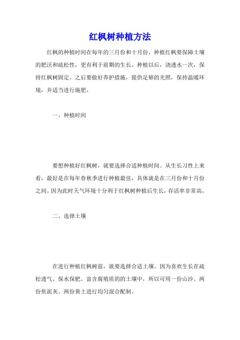 红枫树种植方法