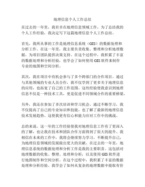地理信息个人工作总结