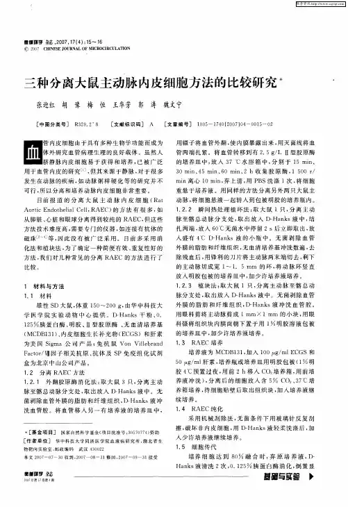 三种分离大鼠主动脉内皮细胞方法的比较研究