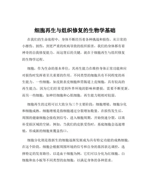 细胞再生与组织修复的生物学基础