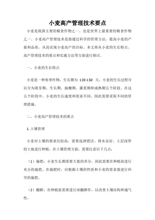 小麦高产管理技术要点