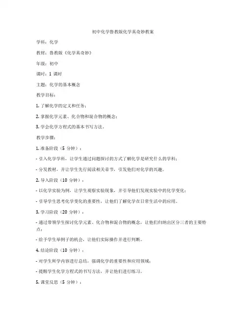 初中化学鲁教版化学真奇妙教案