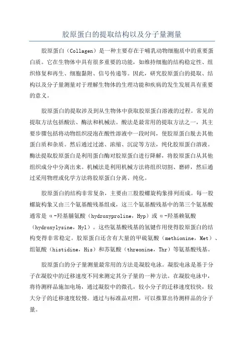 胶原蛋白的提取结构以及分子量测量