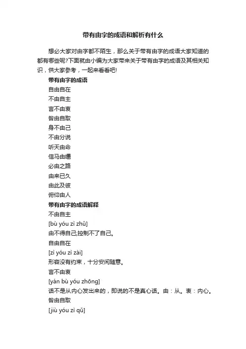 带有由字的成语和解析有什么