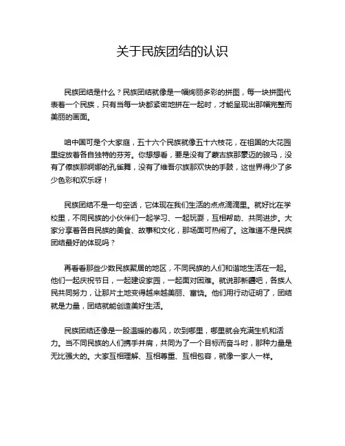 关于民族团结的认识