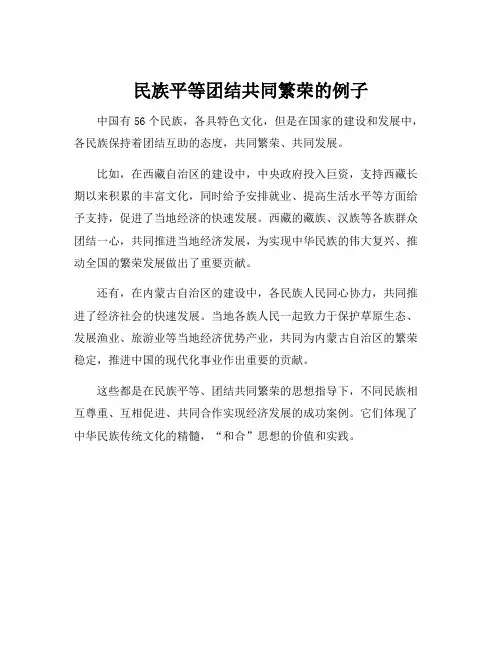 民族平等团结共同繁荣的例子