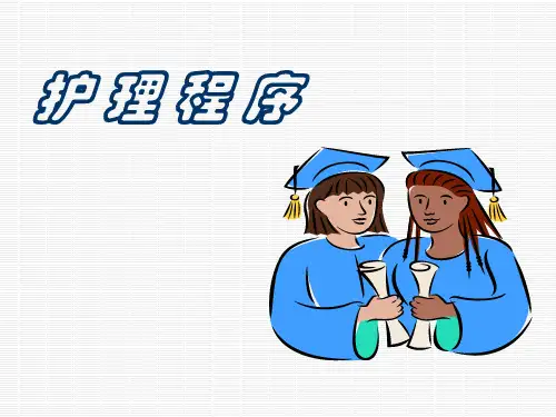 护理程序 PPT课件