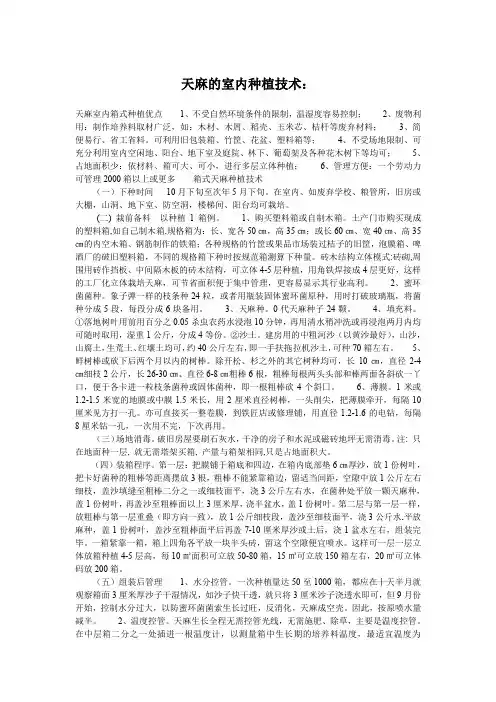 天麻的室内种植技术