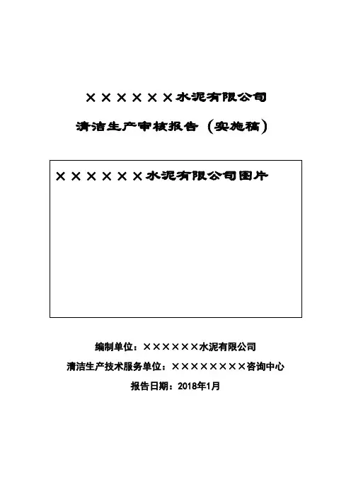 水泥清洁生产审核报告