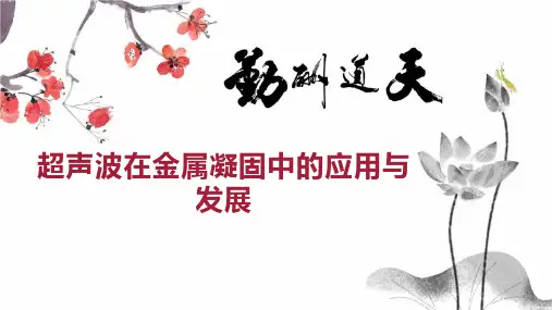 超声波在金属凝固中的应用与发展