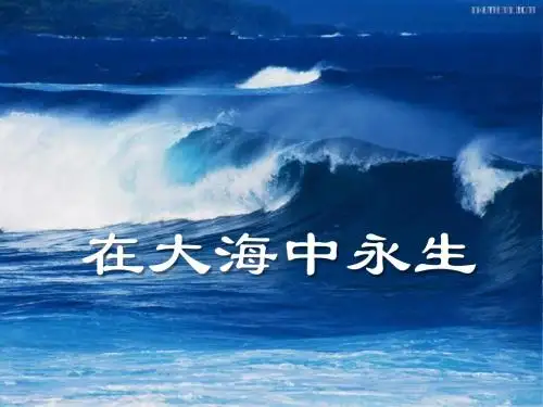 《在大海中永生》PPT课件3 (共23张PPT)