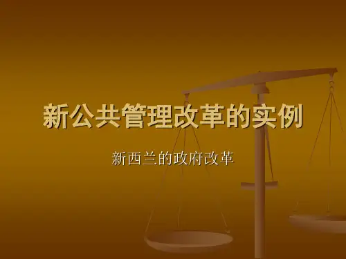 案例：新公共管理的实践