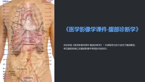 《医学影像学课件-腹部诊断学》