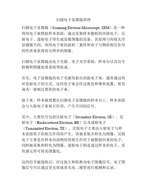 扫描电子显微镜原理