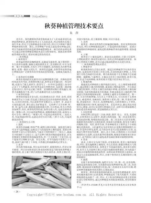 秋葵种植管理技术要点