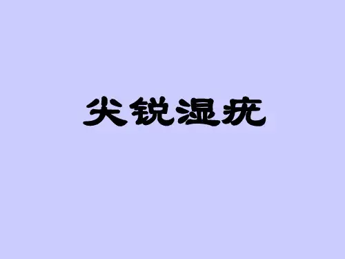 最新 尖锐湿疣 课件