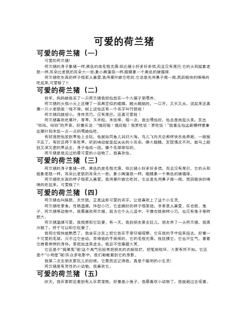 可爱的荷兰猪作文共九篇