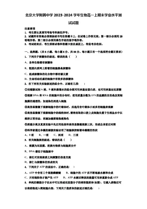 北京大学附属中学2023-2024学年生物高一上期末学业水平测试试题含解析