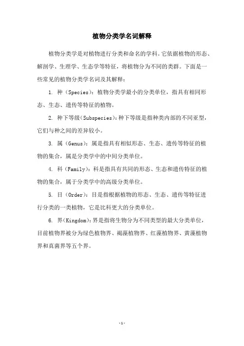 植物分类学名词解释