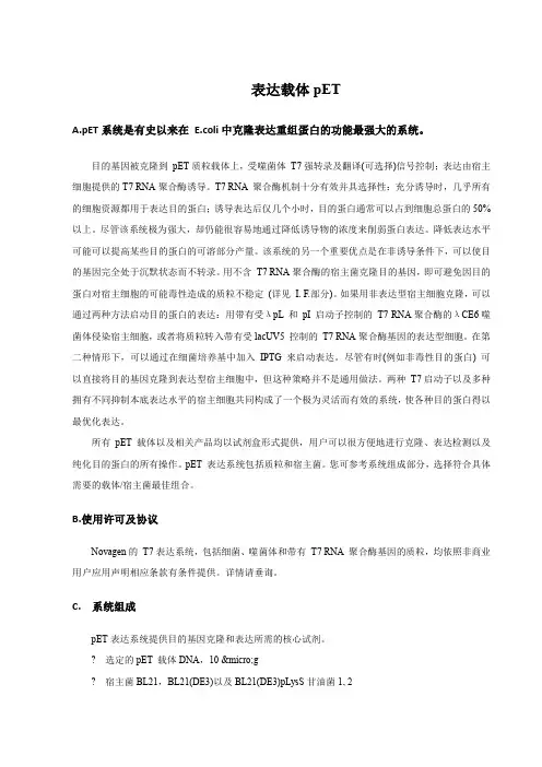 pET表达载体