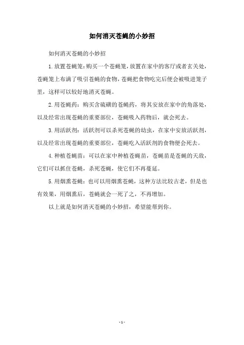 如何消灭苍蝇的小妙招