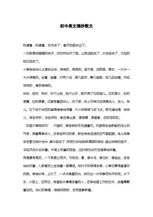 初中美文摘抄散文