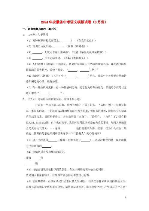 安徽省2024年中考语文模拟试卷含解析