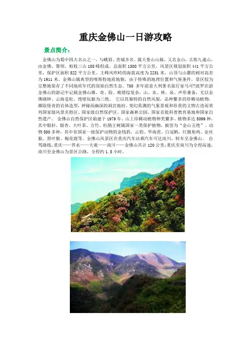 重庆金佛山一日游攻略