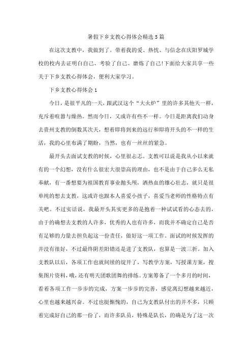 暑假下乡支教心得体会精选5篇
