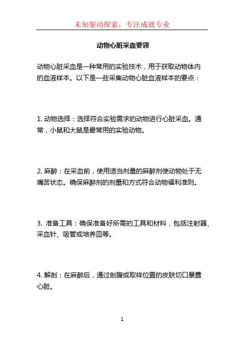 动物心脏采血要领