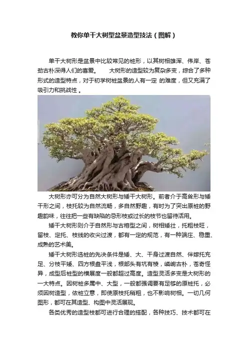 教你单干大树型盆景造型技法（图解）