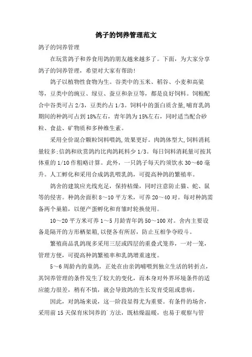 鸽子的饲养管理范文.doc