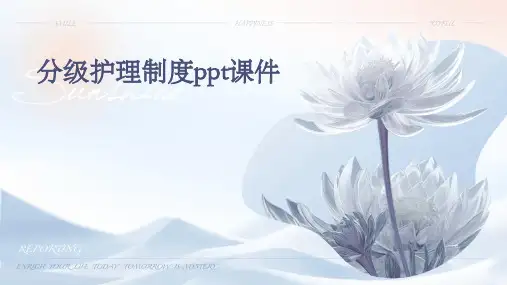 分级护理制度课件