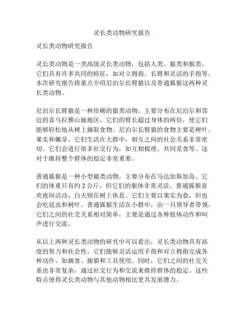 灵长类动物研究报告