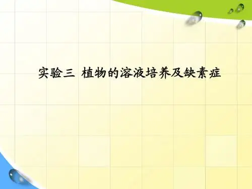 3 缺素实验