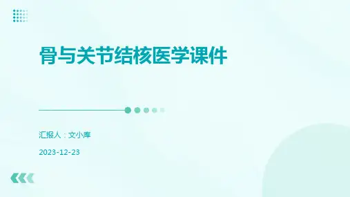 骨与关节结核医学课件