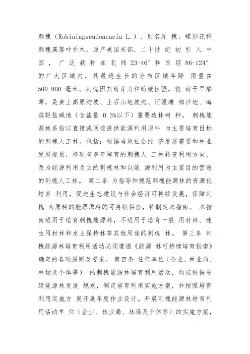 刺槐