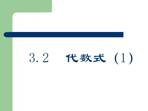 苏教版数学七上课件代数式