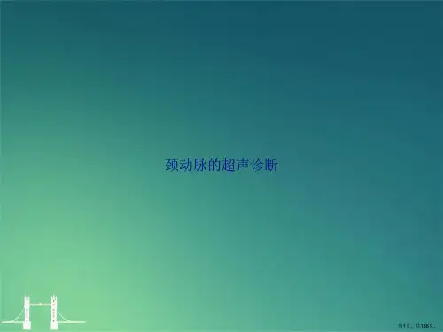 颈动脉的超声诊断讲课文档