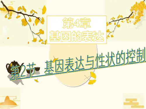 4-2基因表达与性状的关系