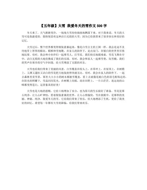 【五年级】大雪 我爱冬天的雪作文500字