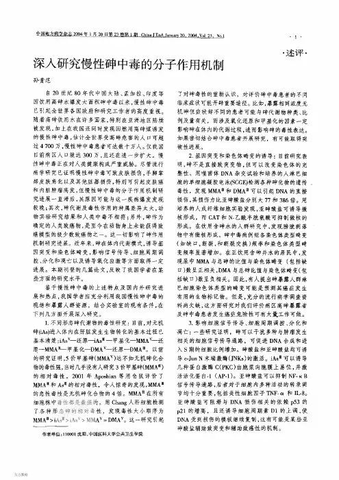 深入研究慢性砷中毒的分子作用机制