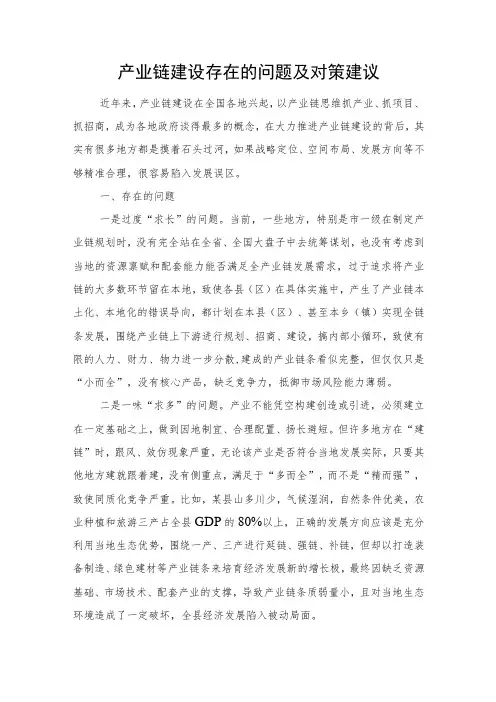 产业链建设存在的问题及对策建议