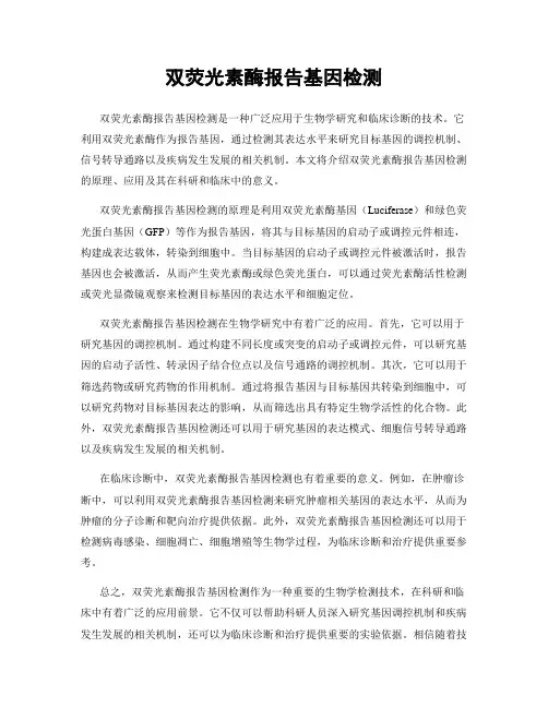 双荧光素酶报告基因检测