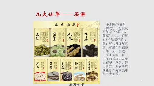 铁皮石斛的介绍PPT课件