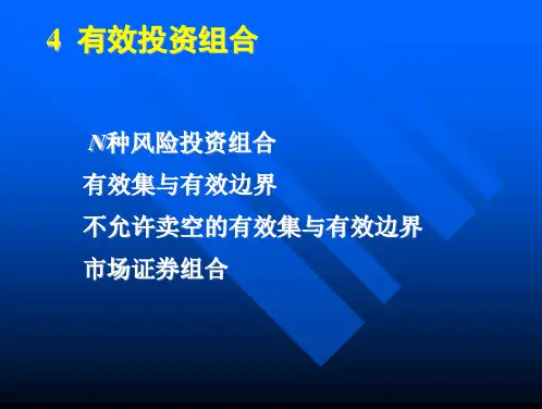 投资学(高级教程)(04)-有效投资组合