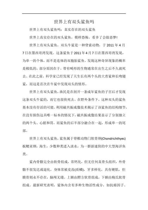 世界上有双头鲨鱼吗