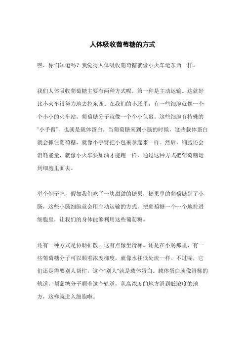 人体吸收葡萄糖的方式