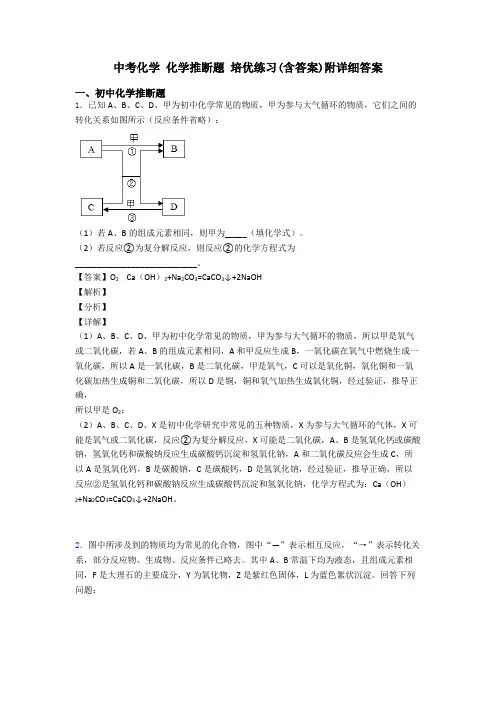 中考化学 化学推断题 培优练习(含答案)附详细答案